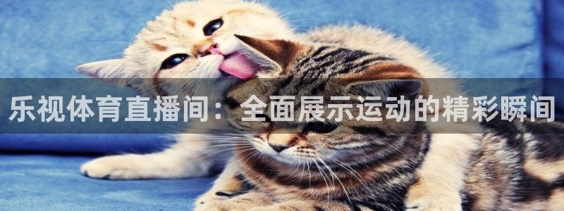 小九直播篮球：乐视体育直播间：全面展示运动的精彩瞬间