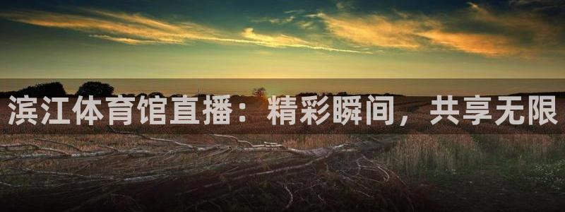 nba在线直播免费观看直播小九直播：滨江体育馆直播：精彩瞬间，共享无限