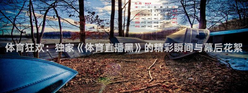 足球小九直播：体育狂欢：独家《体育直播黑》的精彩瞬间与幕后花絮