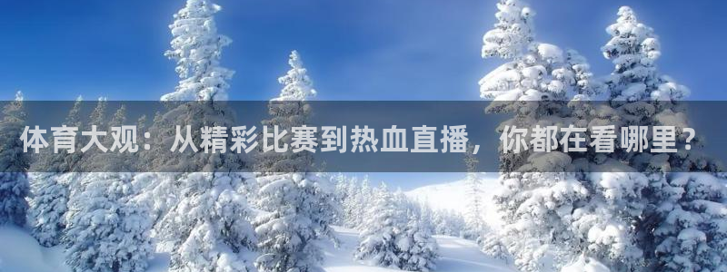 nba小九直播：体育大观：从精彩比赛到热血直播，你都在看哪里？