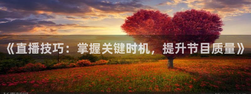 小九直播快捷版下载：《直播技巧：掌握关键时机，提升节目质量》