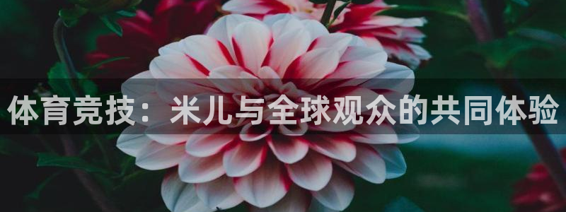 小九直播nba直播：体育竞技：米儿与全球观众的共同体验