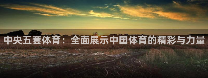 小九直播五大联赛直播：中央五套体育：全面展示中国体育的精彩与力量