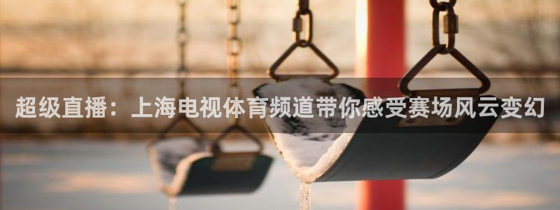 小九直播app下载：超级直播：上海电视体育频道带你感受赛场风云变幻