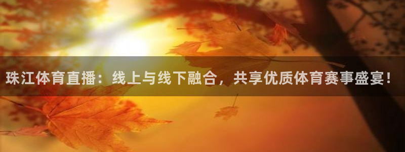 小九直播间在哪：珠江体育直播：线上与线下融合，共享优质体育赛事盛宴！