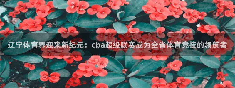 小九直播官网：辽宁体育界迎来新纪元：cba超级联赛成为全省体育竞技的领航者