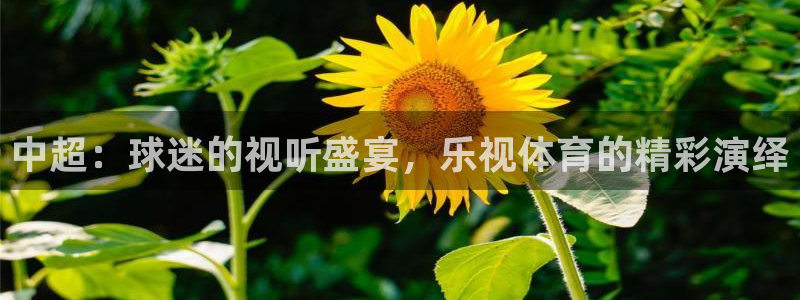 nba直播小九直播在线观看：中超：球迷的视听盛宴，乐视体育的精彩演绎