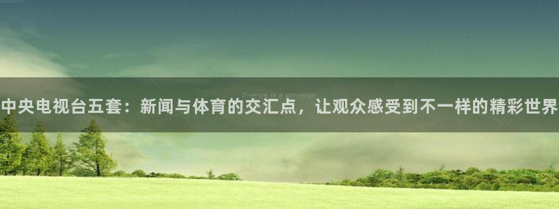 小九直播nba篮球：中央电视台五套：新闻与体育的交汇点，让观众感受到不一样的精彩世界