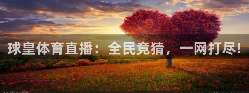 小九直播足球app下载安装