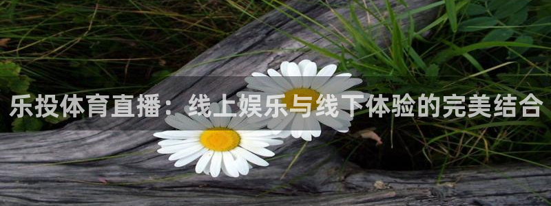 小九直播间现场直播nba：乐投体育直播：线上娱乐与线下体验的完美结合