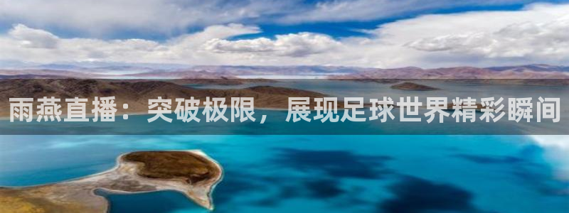 小九直播官网首页入口：雨燕直播：突破极限，展现足球世界精彩瞬间