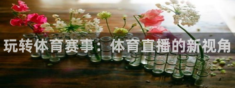 足球直播小九直播在线观看：玩转体育赛事：体育直播的新视角